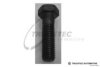 TRUCKTEC AUTOMOTIVE 80.12.004 Screw